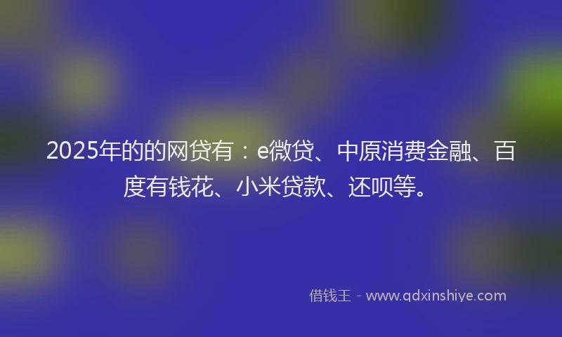 2025年的的网贷有：e微贷、中原消费金融、百度有钱花、小米贷款、还呗等。