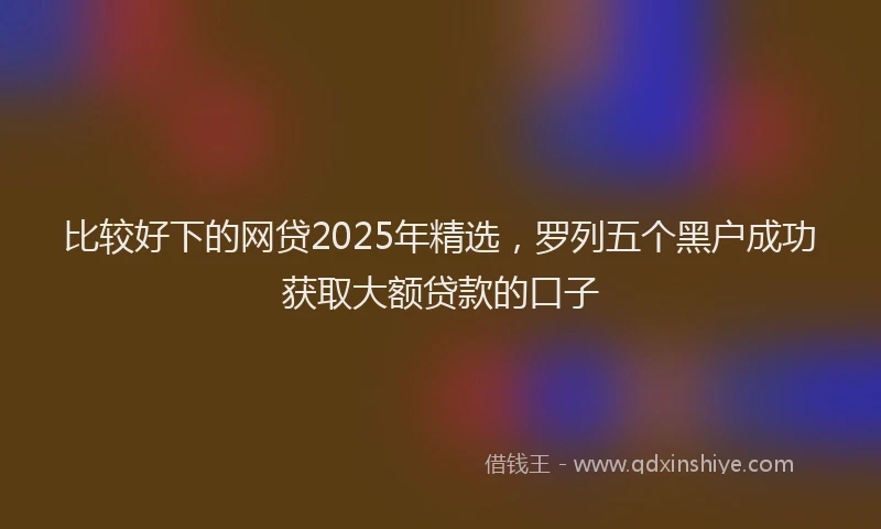 比较好下的网贷2025年精选，罗列五个黑户成功获取大额贷款的口子