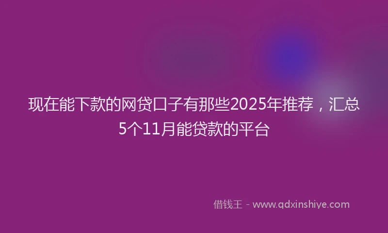 现在能下款的网贷口子有那些2025年推荐，汇总5个11月能贷款的平台