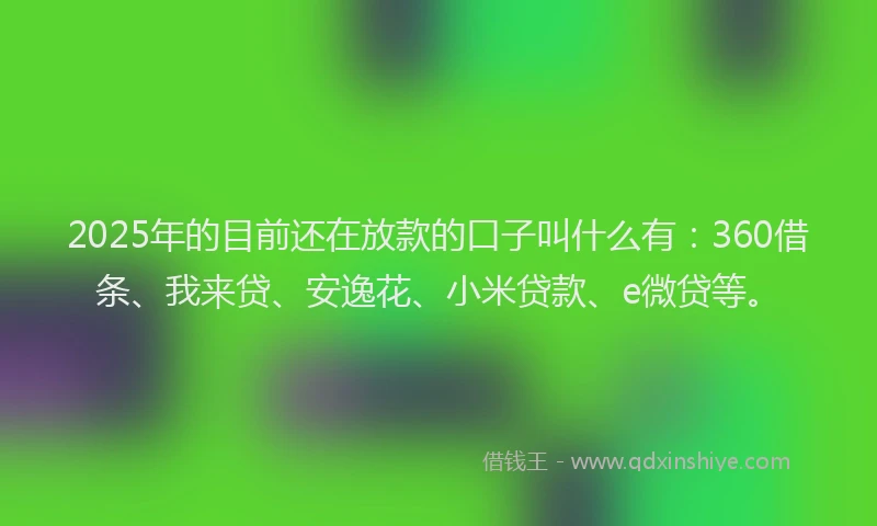 2025年的目前还在放款的口子叫什么有：360借条、我来贷、安逸花、小米贷款、e微贷等。