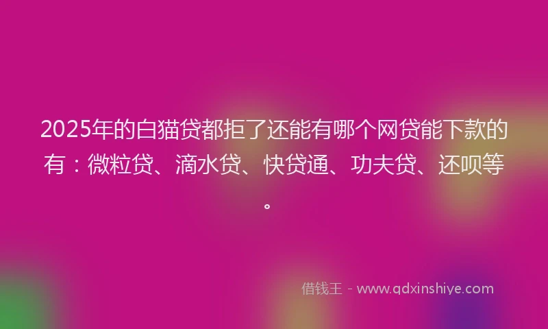 2025年的白猫贷都拒了还能有哪个网贷能下款的有：微粒贷、滴水贷、快贷通、功夫贷、还呗等。