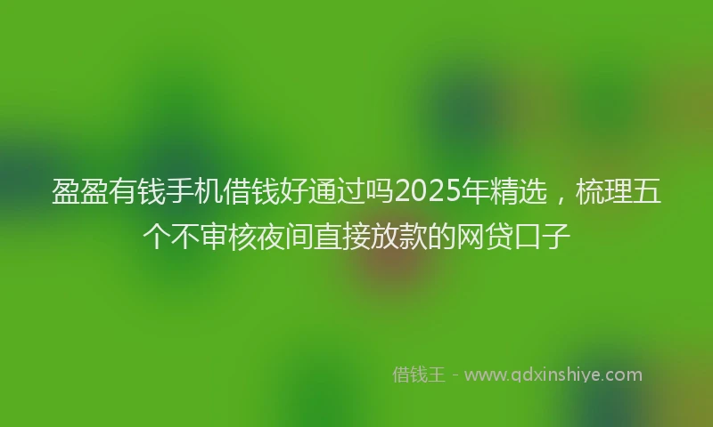 盈盈有钱手机借钱好通过吗2025年精选，梳理五个不审核夜间直接放款的网贷口子