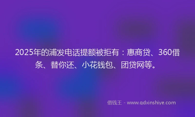 2025年的浦发电话提额被拒有：惠商贷、360借条、替你还、小花钱包、团贷网等。