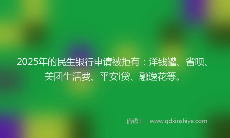 2025年的民生银行申请被拒有：洋钱罐、省呗、美团生活费、平安i贷、融逸花等。