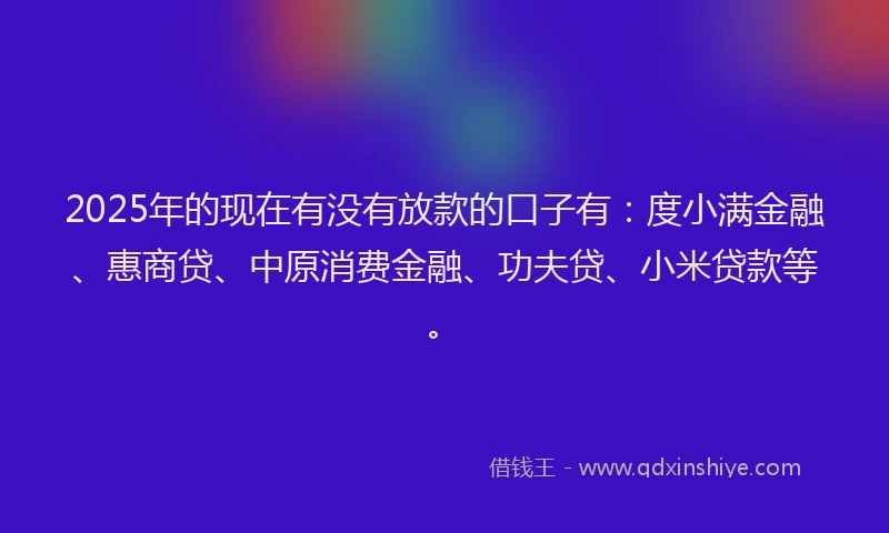 2025年的现在有没有放款的口子有：度小满金融、惠商贷、中原消费金融、功夫贷、小米贷款等。
