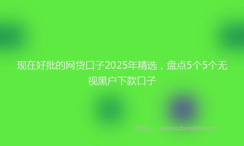 现在好批的网贷口子2025年精选，盘点5个5个无视黑户下款口子