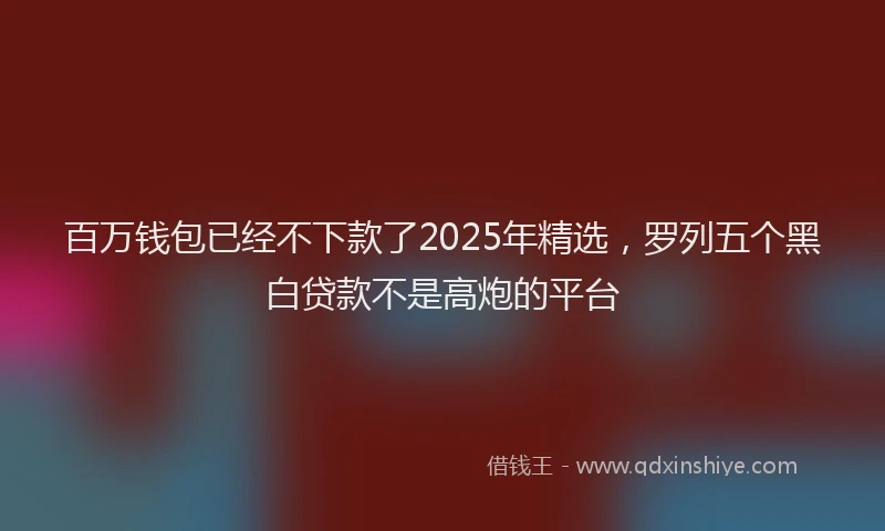 百万钱包已经不下款了2025年精选，罗列五个黑白贷款不是高炮的平台