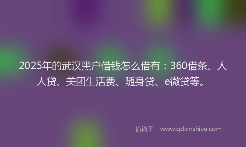 2025年的武汉黑户借钱怎么借有：360借条、人人贷、美团生活费、随身贷、e微贷等。