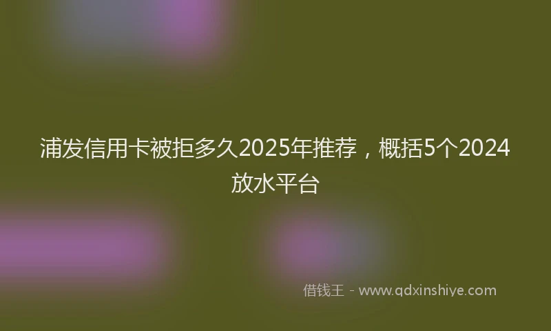 浦发信用卡被拒多久2025年推荐，概括5个2024放水平台