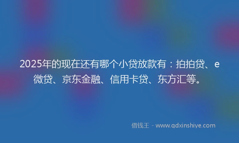 2025年的现在还有哪个小贷放款有：拍拍贷、e微贷、京东金融、信用卡贷、东方汇等。