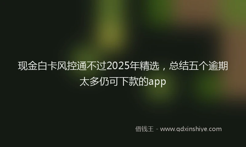 现金白卡风控通不过2025年精选，总结五个逾期太多仍可下款的app