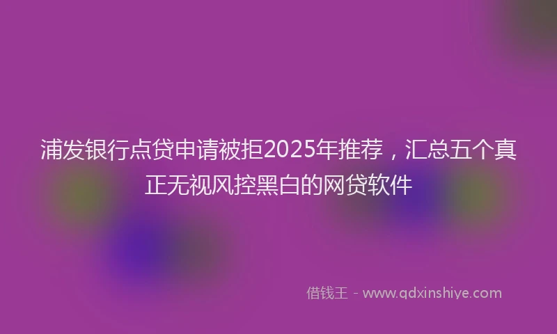 浦发银行点贷申请被拒2025年推荐，汇总五个真正无视风控黑白的网贷软件