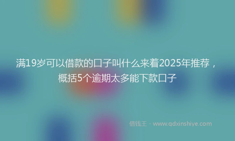 满19岁可以借款的口子叫什么来着2025年推荐，概括5个逾期太多能下款口子