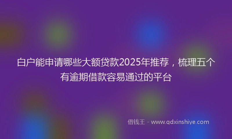 白户能申请哪些大额贷款2025年推荐，梳理五个有逾期借款容易通过的平台