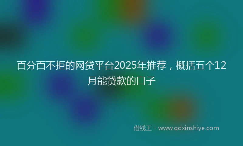百分百不拒的网贷平台2025年推荐，概括五个12月能贷款的口子