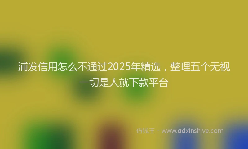浦发信用怎么不通过2025年精选，整理五个无视一切是人就下款平台