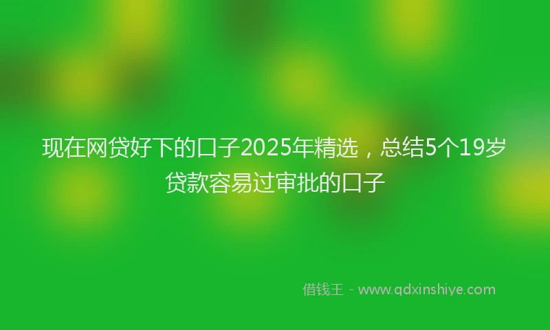现在网贷好下的口子2025年精选，总结5个19岁贷款容易过审批的口子