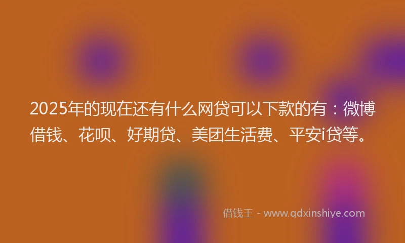 2025年的现在还有什么网贷可以下款的有：微博借钱、花呗、好期贷、美团生活费、平安i贷等。