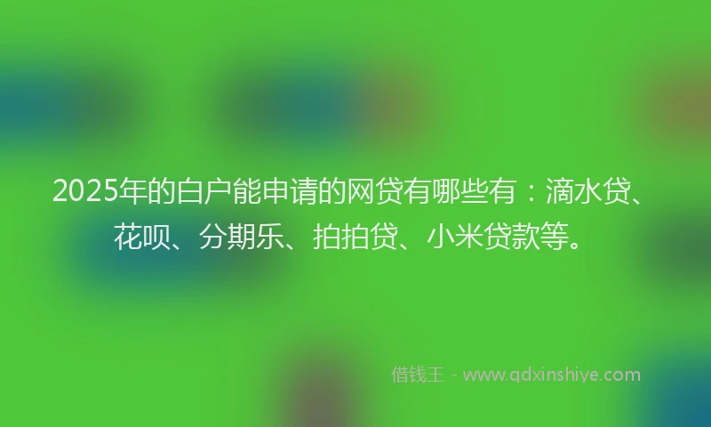 2025年的白户能申请的网贷有哪些有：滴水贷、花呗、分期乐、拍拍贷、小米贷款等。