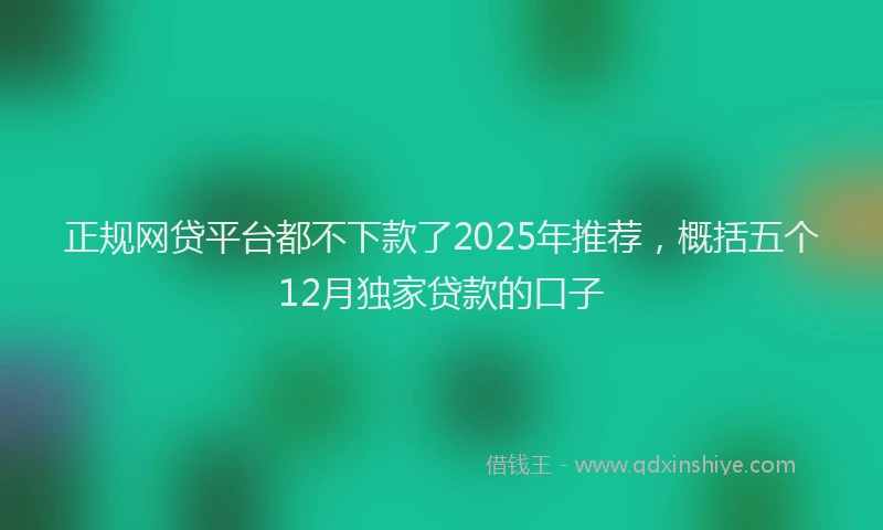 正规网贷平台都不下款了2025年推荐，概括五个12月独家贷款的口子