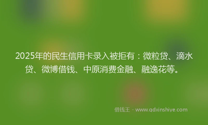2025年的民生信用卡录入被拒有：微粒贷、滴水贷、微博借钱、中原消费金融、融逸花等。