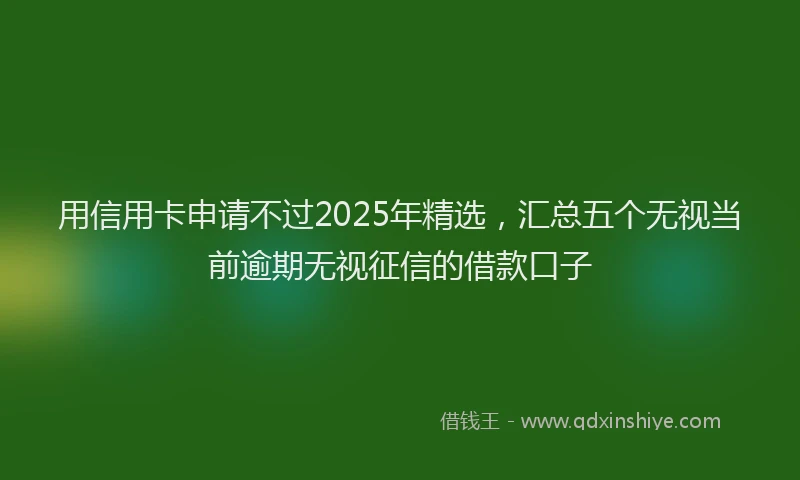 用信用卡申请不过2025年精选，汇总五个无视当前逾期无视征信的借款口子