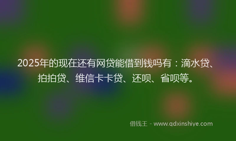 2025年的现在还有网贷能借到钱吗有：滴水贷、拍拍贷、维信卡卡贷、还呗、省呗等。
