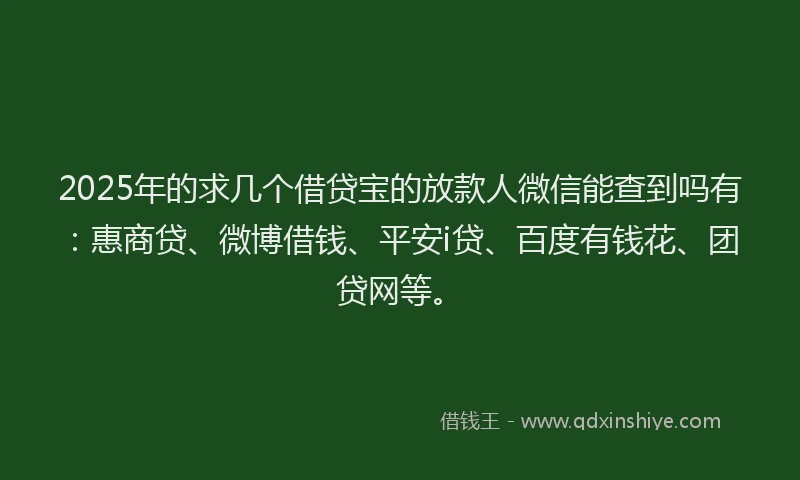 2025年的求几个借贷宝的放款人微信能查到吗有：惠商贷、微博借钱、平安i贷、百度有钱花、团贷网等。