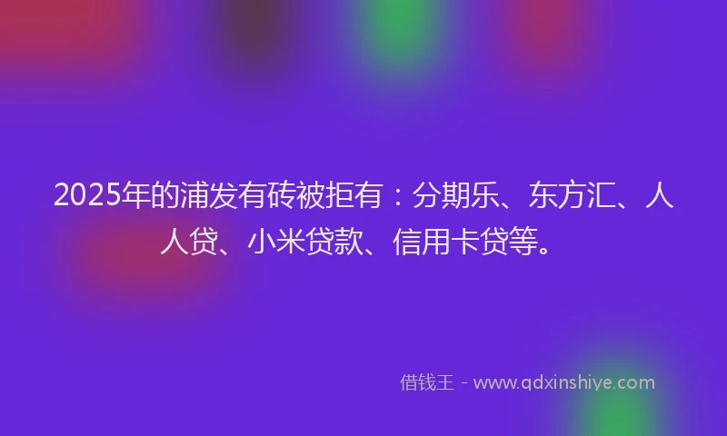 2025年的浦发有砖被拒有：分期乐、东方汇、人人贷、小米贷款、信用卡贷等。