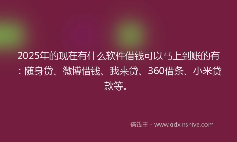 2025年的现在有什么软件借钱可以马上到账的有：随身贷、微博借钱、我来贷、360借条、小米贷款等。