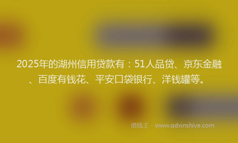 2025年的湖州信用贷款有：51人品贷、京东金融、百度有钱花、平安口袋银行、洋钱罐等。