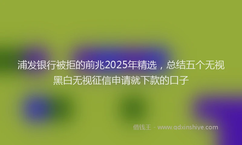 浦发银行被拒的前兆2025年精选，总结五个无视黑白无视征信申请就下款的口子