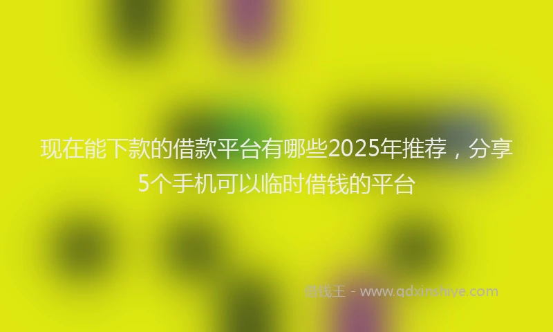 现在能下款的借款平台有哪些2025年推荐，分享5个手机可以临时借钱的平台