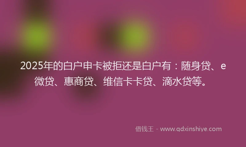 2025年的白户申卡被拒还是白户有:随身贷、e微贷、惠商贷、维信卡卡贷、滴水贷等。