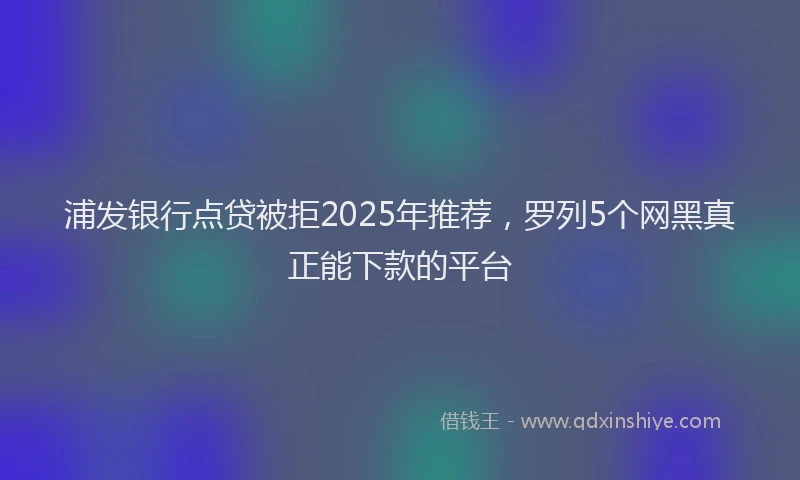浦发银行点贷被拒2025年推荐，罗列5个网黑真正能下款的平台