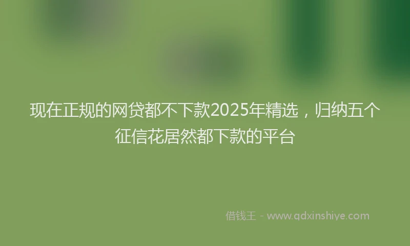 现在正规的网贷都不下款2025年精选，归纳五个征信花居然都下款的平台