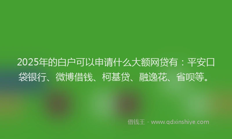 2025年的白户可以申请什么大额网贷有：平安口袋银行、微博借钱、柯基贷、融逸花、省呗等。