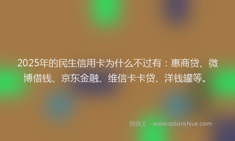 2025年的民生信用卡为什么不过有：惠商贷、微博借钱、京东金融、维信卡卡贷、洋钱罐等。