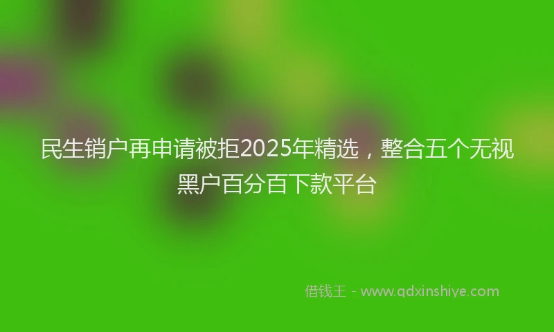 民生销户再申请被拒2025年精选，整合五个无视黑户百分百下款平台