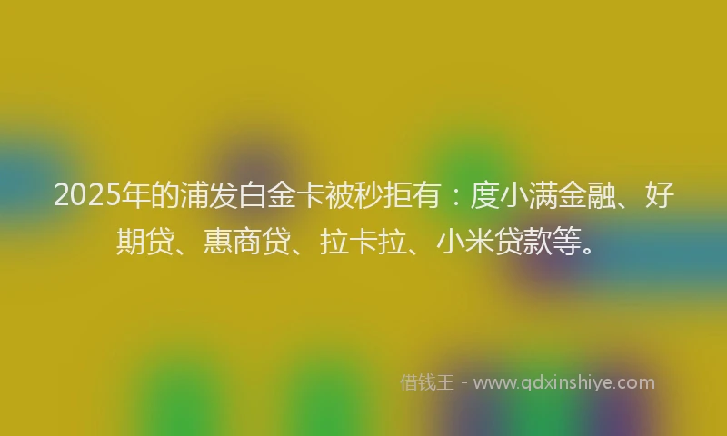 2025年的浦发白金卡被秒拒有：度小满金融、好期贷、惠商贷、拉卡拉、小米贷款等。