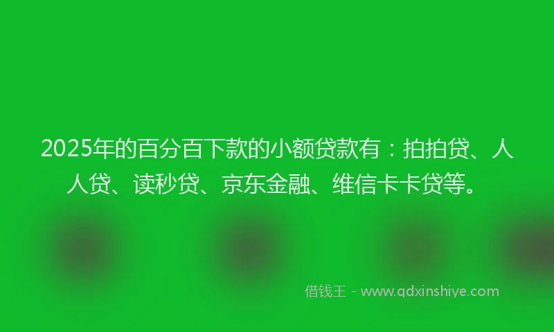 2025年的百分百下款的小额贷款有：拍拍贷、人人贷、读秒贷、京东金融、维信卡卡贷等。