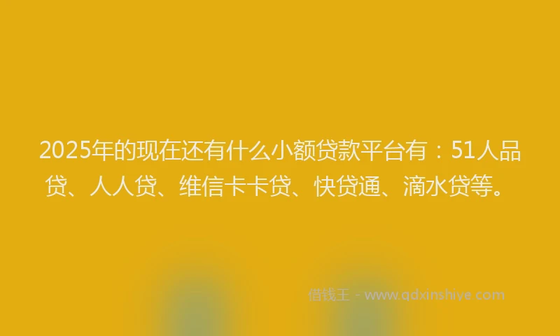 2025年的现在还有什么小额贷款平台有：51人品贷、人人贷、维信卡卡贷、快贷通、滴水贷等。