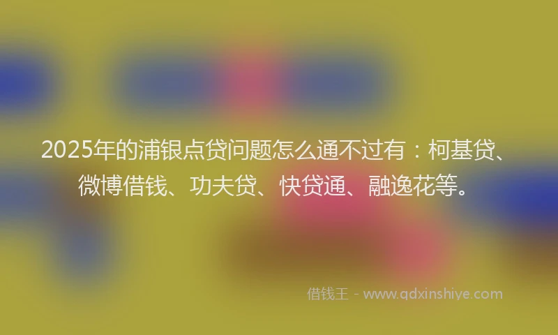 2025年的浦银点贷问题怎么通不过有：柯基贷、微博借钱、功夫贷、快贷通、融逸花等。