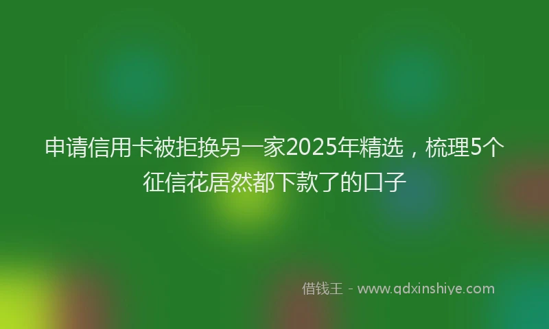 申请信用卡被拒换另一家2025年精选，梳理5个征信花居然都下款了的口子
