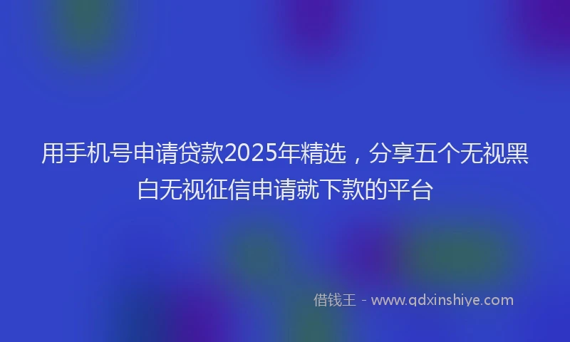 用手机号申请贷款2025年精选，分享五个无视黑白无视征信申请就下款的平台