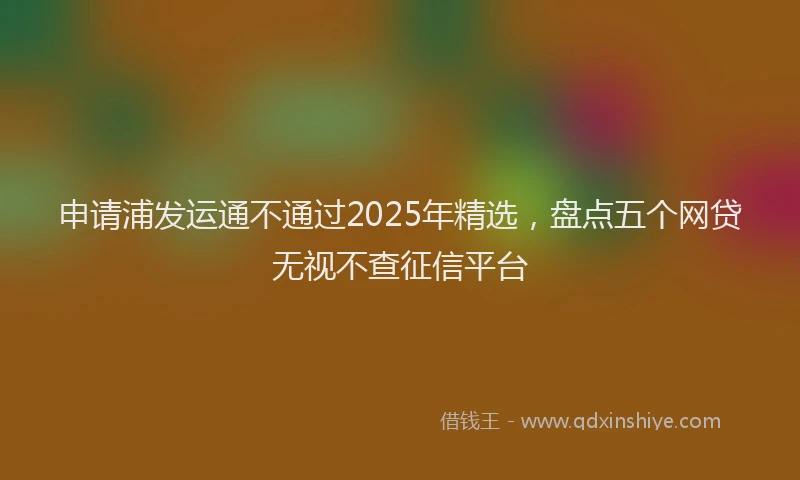 申请浦发运通不通过2025年精选，盘点五个网贷无视不查征信平台