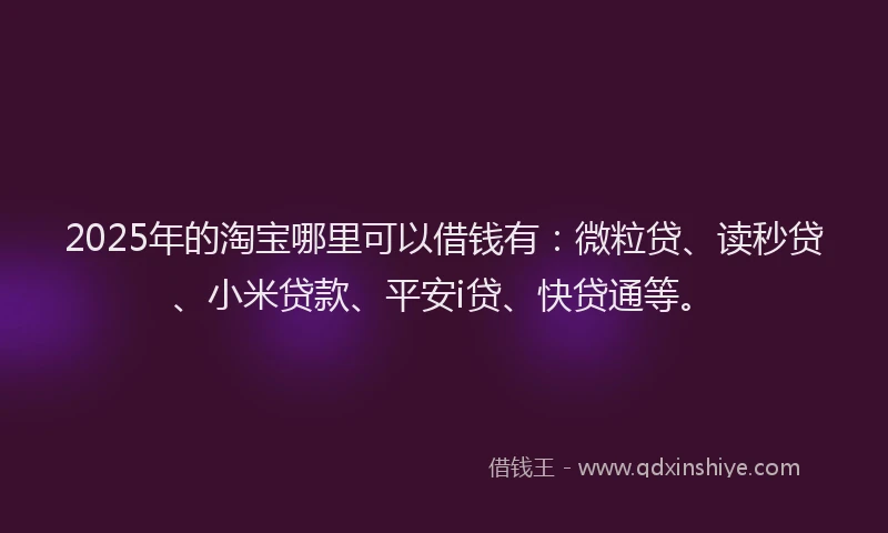 2025年的淘宝哪里可以借钱有：微粒贷、读秒贷、小米贷款、平安i贷、快贷通等。
