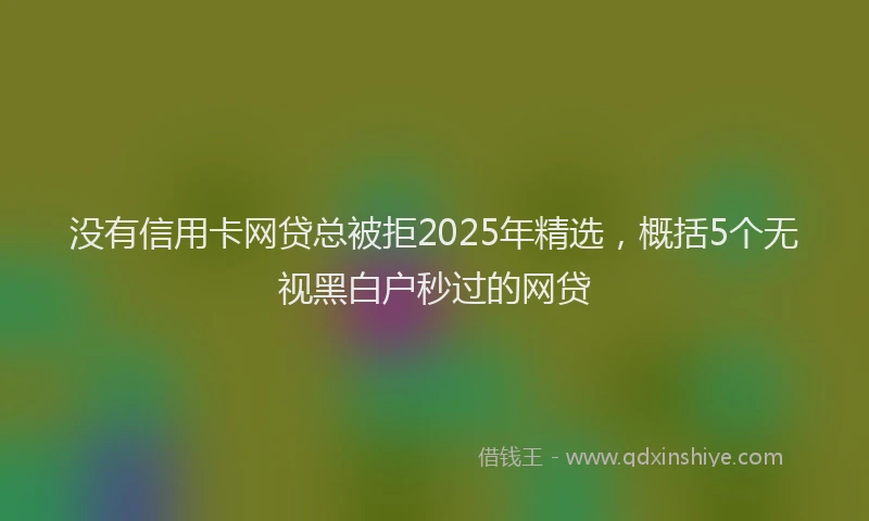 没有信用卡网贷总被拒2025年精选，概括5个无视黑白户秒过的网贷