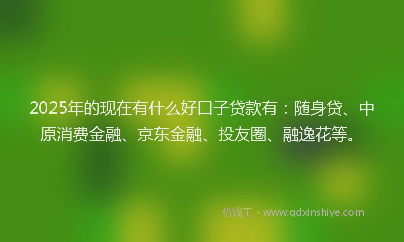 2025年的现在有什么好口子贷款有：随身贷、中原消费金融、京东金融、投友圈、融逸花等。