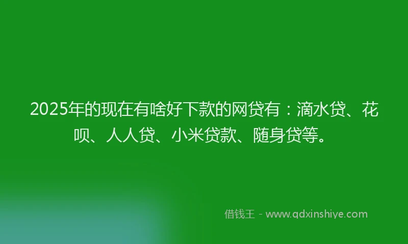 2025年的现在有啥好下款的网贷有：滴水贷、花呗、人人贷、小米贷款、随身贷等。
